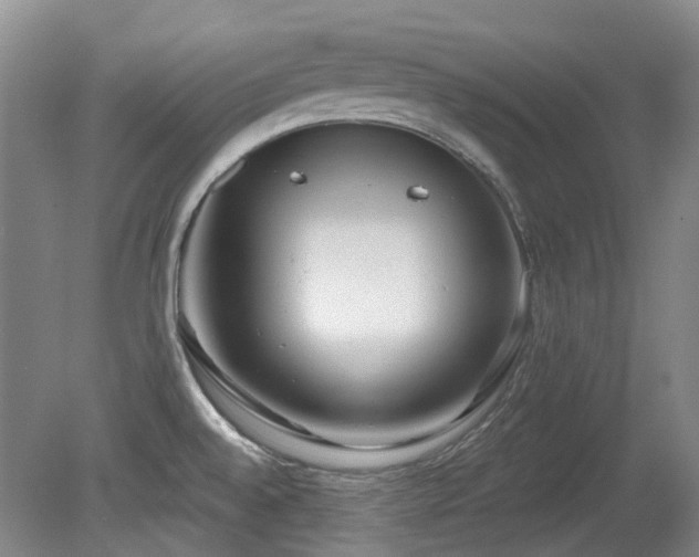 X0000080181528200612081348