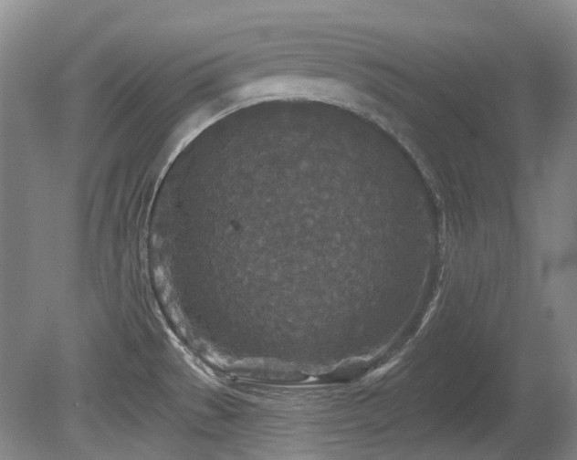 X0000080181529200612081348