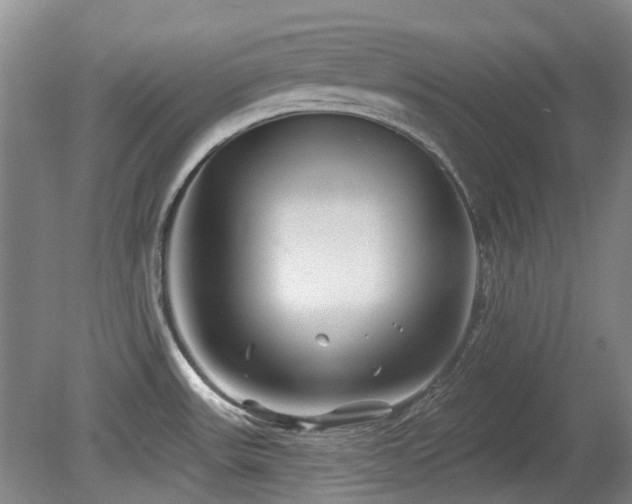 X0000080181531200612081348