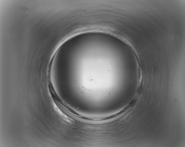 X0000080181532200612081348