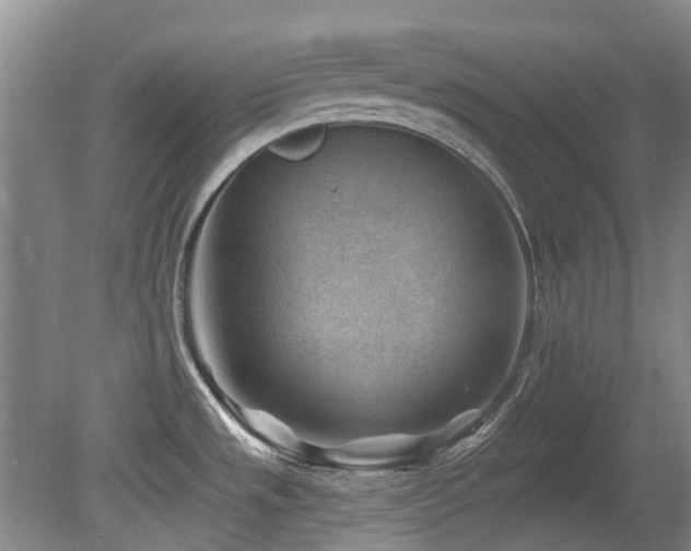 X0000080181533200612081348