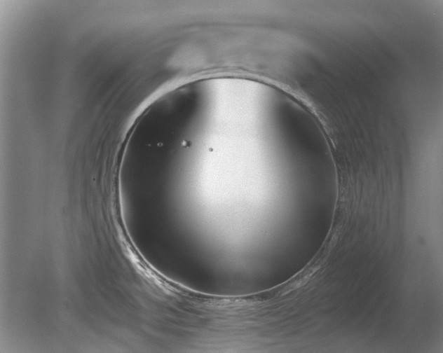 X0000080181534200612081348