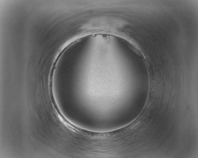 X0000080181535200612081348