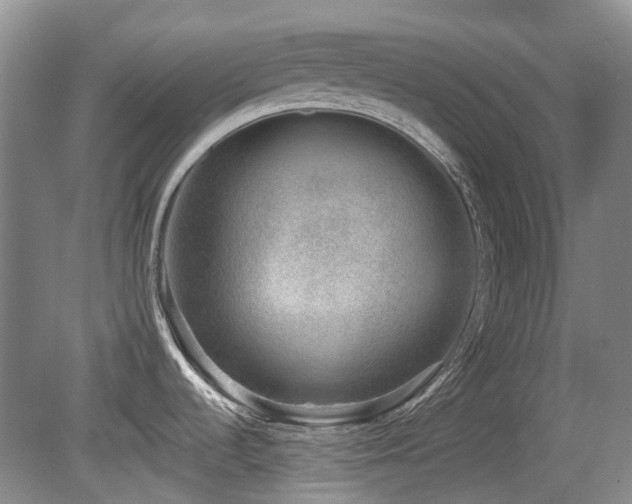 X0000080181536200612081348