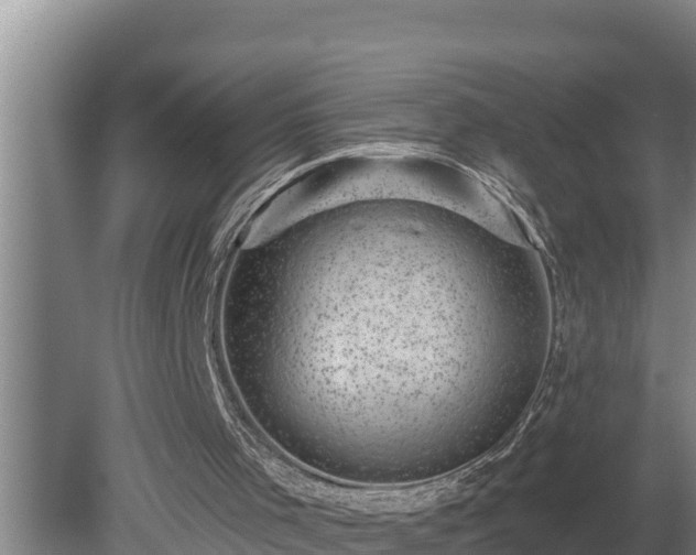 X0000080180001200612152000