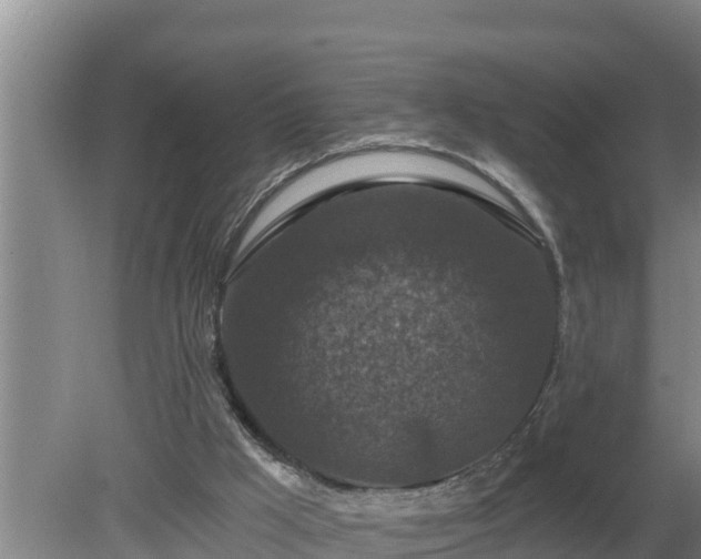 X0000080180009200612152000