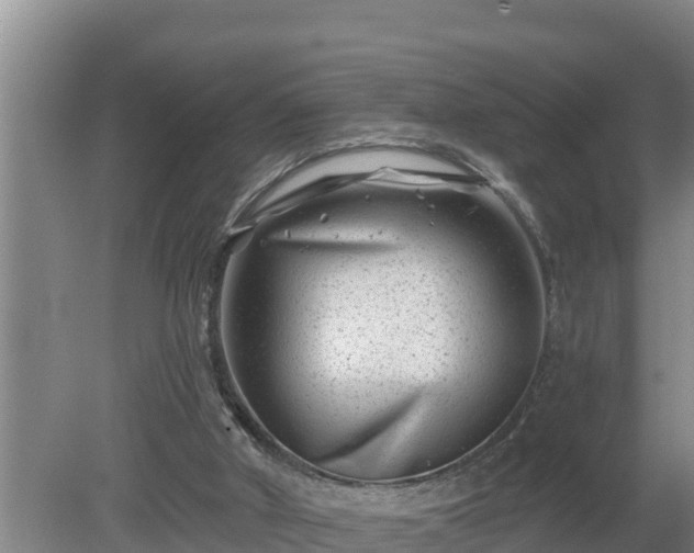 X0000080180010200612152000