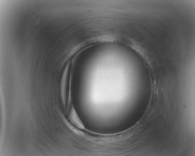 X0000080180013200612152000