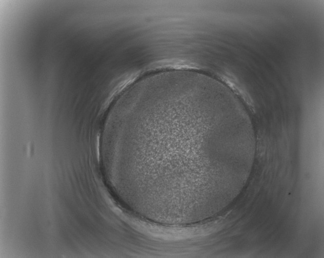 X0000080180014200612152000