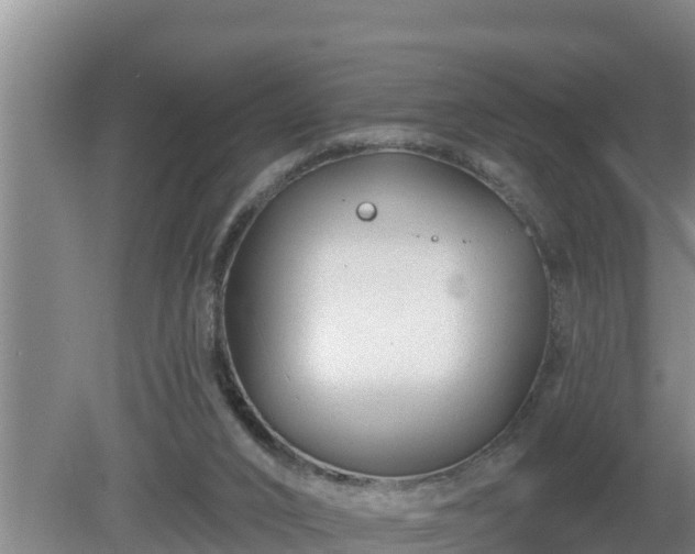 X0000080180016200612152000