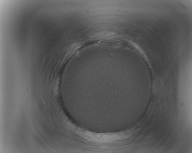 X0000080180018200612152000