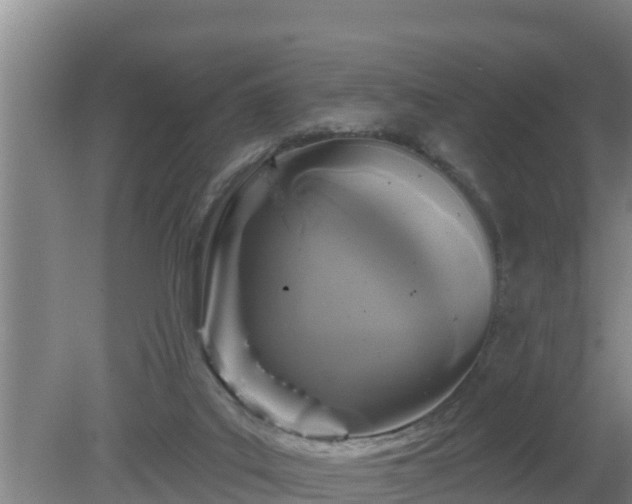 X0000080180019200612152000