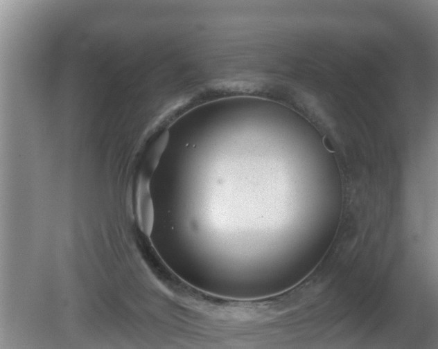 X0000080180020200612152000