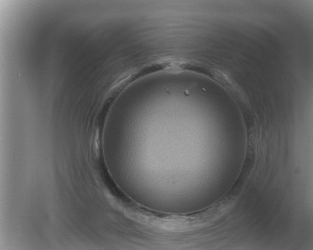 X0000080180024200612152000