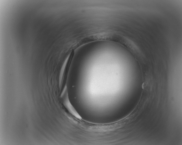 X0000080180025200612152000