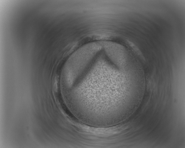 X0000080180026200612152000