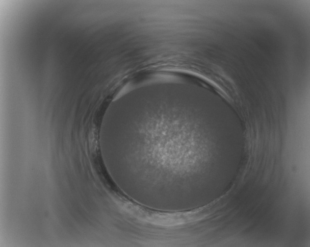 X0000080180029200612152000