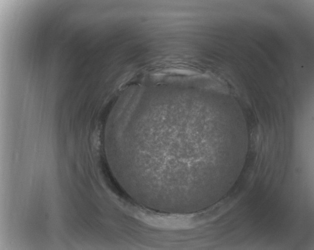 X0000080180032200612152000