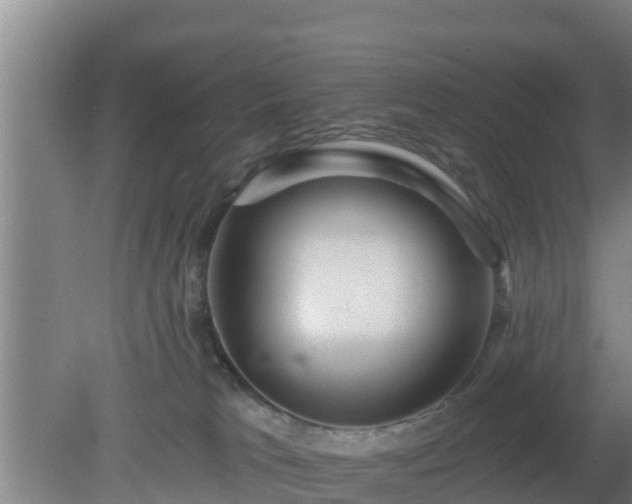 X0000080180037200612152000