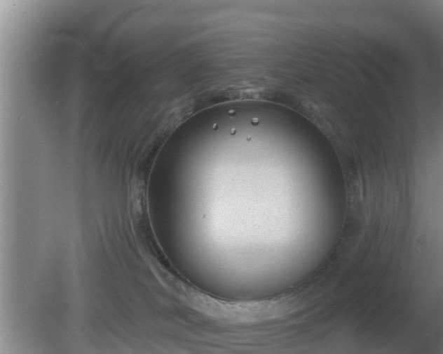 X0000080180038200612152000