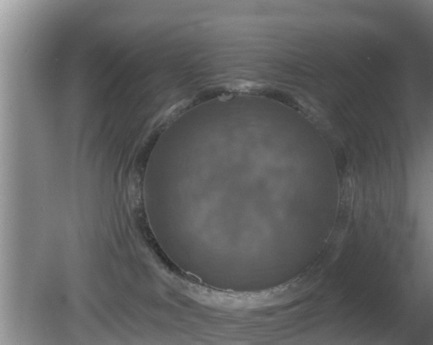 X0000080180043200612151959