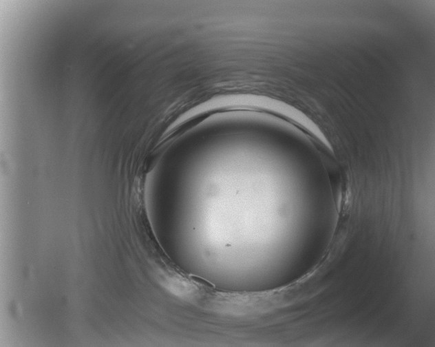 X0000080180045200612151959