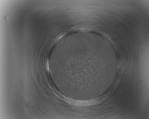 X0000080180046200612151959