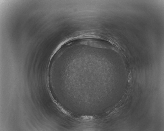 X0000080180052200612151959