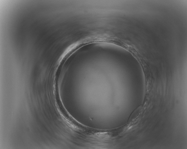 X0000080180054200612151959