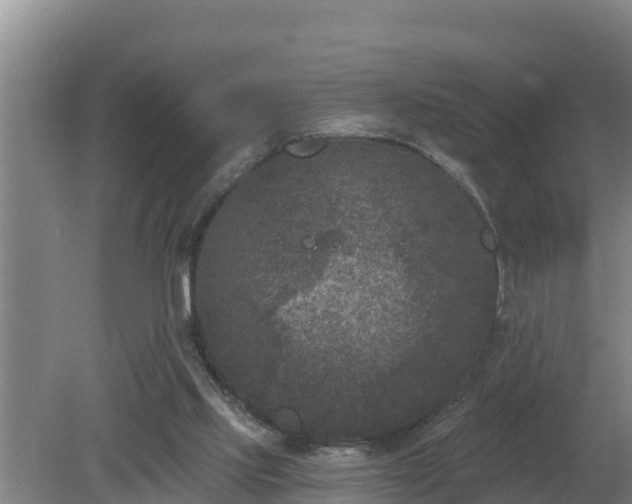 X0000080180061200612151959