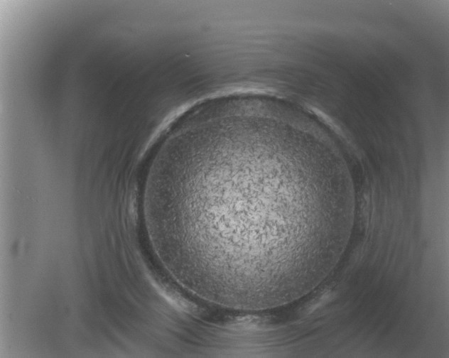 X0000080180064200612151959