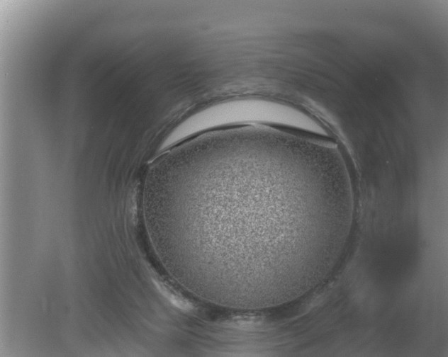 X0000080180065200612151959