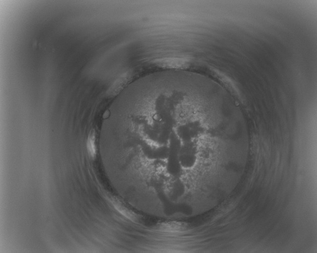 X0000080180069200612151959