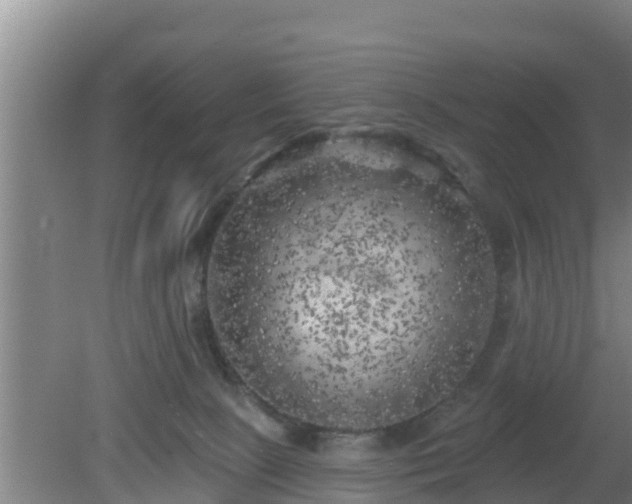 X0000080180081200612151959