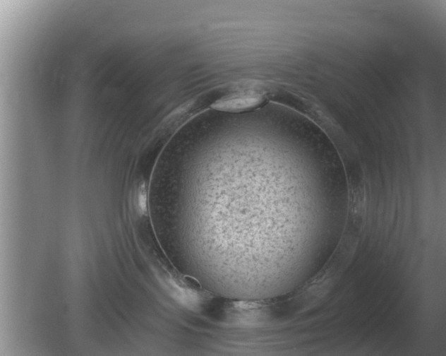 X0000080180095200612151959