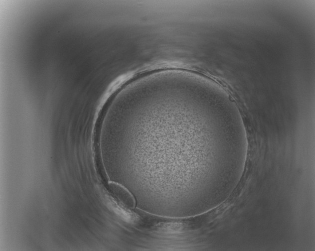 X0000080180104200612151958