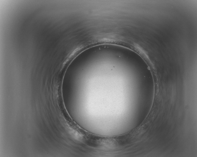 X0000080180106200612151958