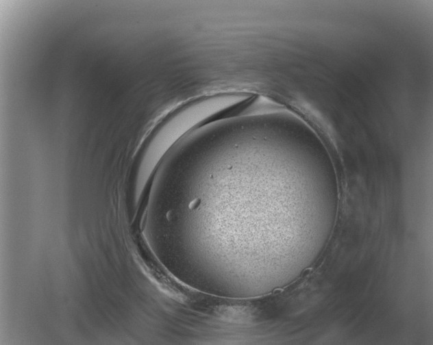 X0000080180107200612151958