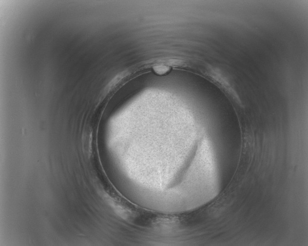 X0000080180110200612151958