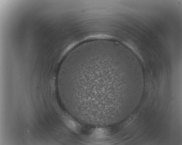 X0000080180111200612151958