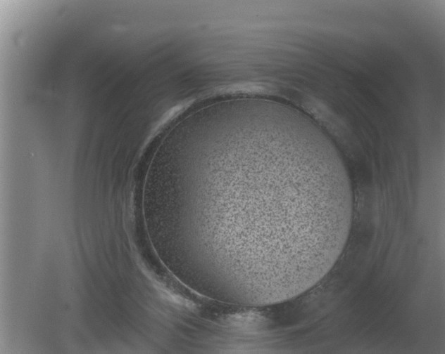 X0000080180112200612151958