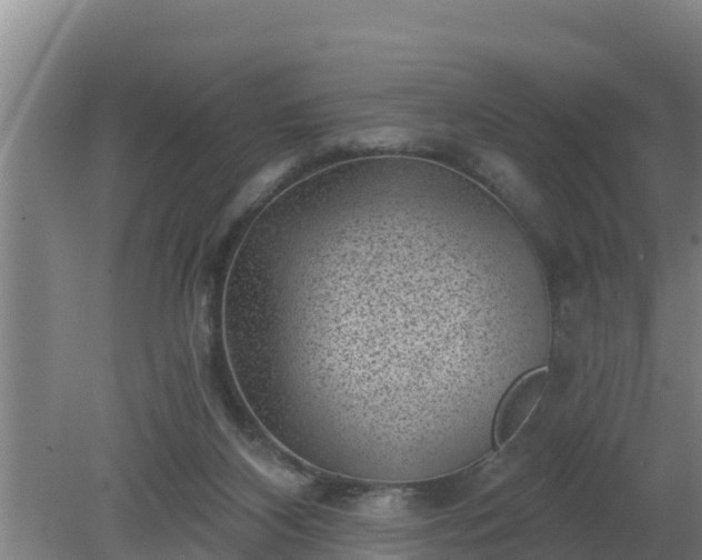 X0000080180116200612151958