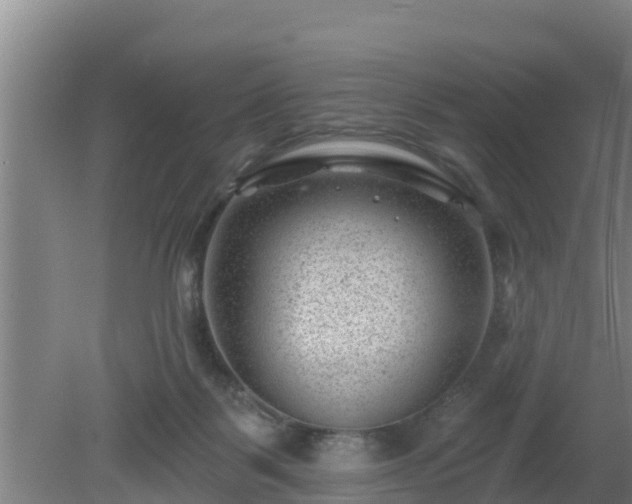 X0000080180123200612151958