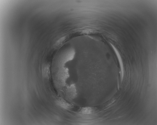 X0000080180127200612151958