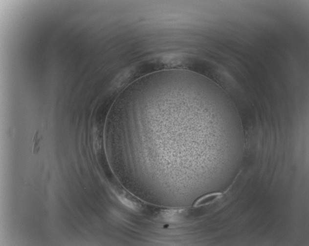 X0000080180136200612151958