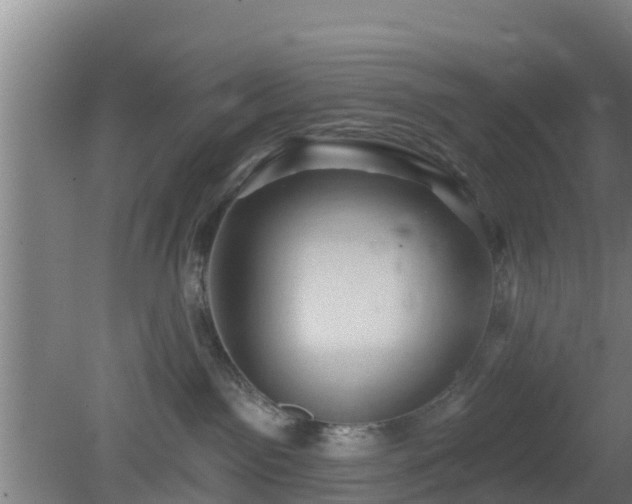 X0000080180141200612151958