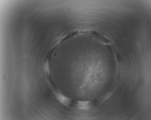 X0000080180143200612151958