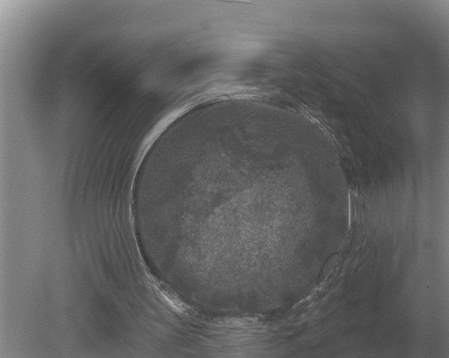 X0000080180147200612151957