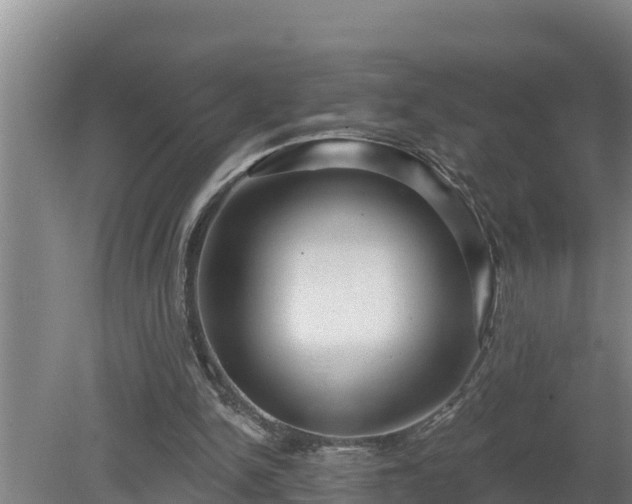 X0000080180150200612151957