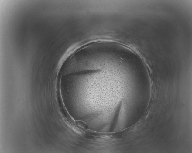 X0000080180151200612151957